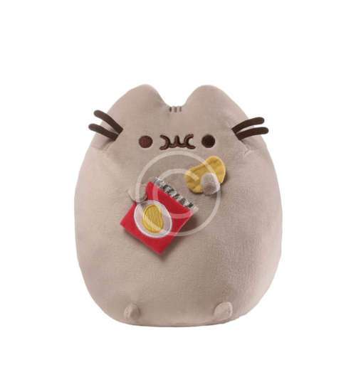 Pusheen Cat With Chips